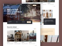 Property Website and Landing Page Development
